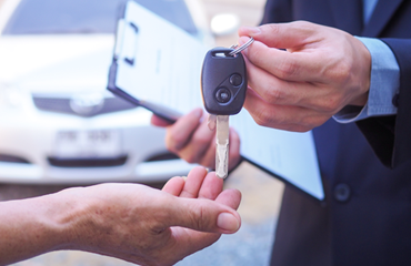 Yerel Firma Dan��manl���